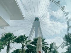 -蔻蔻椰·鲜萃椰子水(欢乐港湾店)