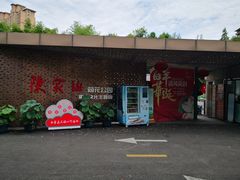 -陈家山荷花公园
