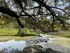 -南靖田螺坑土楼群景区