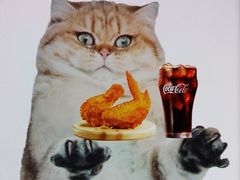 -麦当劳(上百万和城店)