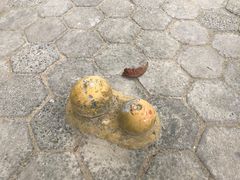 -东郊椰林