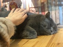 -小时光咖啡馆(开森度假森林店)