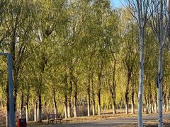 -东郊湿地公园