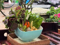 -山菌美食苑(振兴路店)