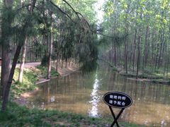 滨湖湿地公园-合肥滨湖国家森林公园