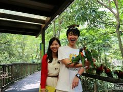 -新加坡飞禽公园