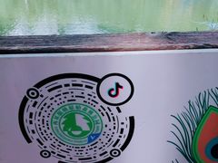 -西双版纳原始森林公园