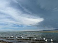 -青海湖国家重点风景名胜区