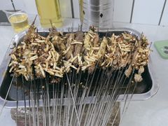 -宋文成烤肉(白沙巷店)