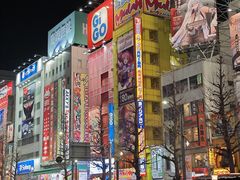 -秋叶原电器街