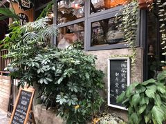 -No Cat 手碟