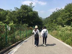 -灵岩山风景区