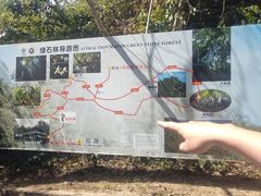 -中国科学院西双版纳热带植物园