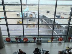 -虹桥机场国航贵宾室v8