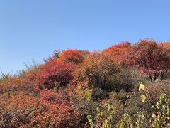 -北京西山国家森林公园