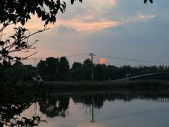 -广富林郊野公园