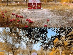 -西青郊野公园