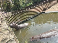 -海南热带野生动植物园