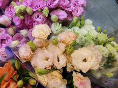 -双季花艺园艺市场(浦东店)