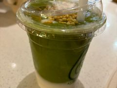 -油梨树 AVOCADO TREE(亮马桥店)