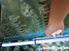 -金巴兰鱼市场