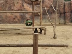 -杭州野生动物世界