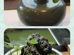 -若蘭慈·无国界素食料理(欢乐海岸店)