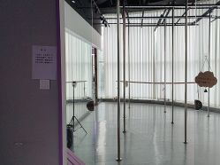 -水灵子·专注成人零基础