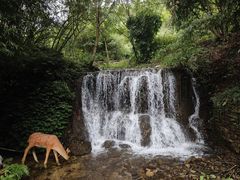 -天河潭旅游度假区