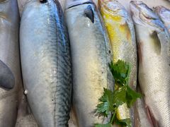 -天天渔港海鲜酒家(石浦玉泉路店)