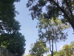 -长洲岛