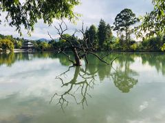 -黑龙潭公园