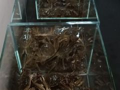 -楊銘宇黄焖鸡米饭(天美美食城店)