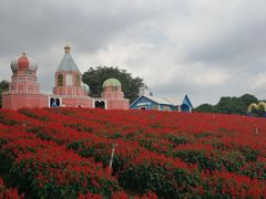 -松山湖梦幻百花洲