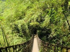 -阿依河景区