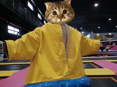 -嘿哟动霸CHUA·新潮玩运动娱乐中心·蹦床滑冰团建乐园