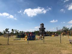 -上海长兴岛郊野公园