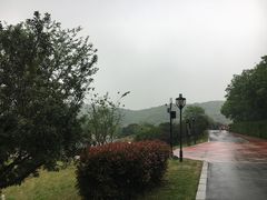 -龙寺生态园