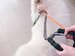 -申普宠物医院·眼科·心内科·影像科(普陀分院)