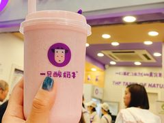 -一只酸奶牛(八一路店)