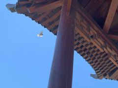 -天津东丽湖风景区