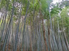 -敬亭山风景名胜区