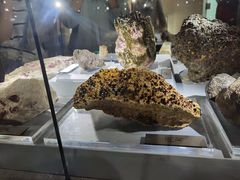 -昆明市博物馆(昆明市文物保护和考古研究中心)