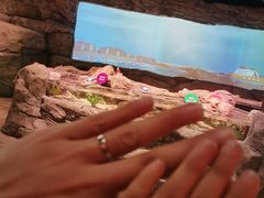 -沈阳海洋探索中心