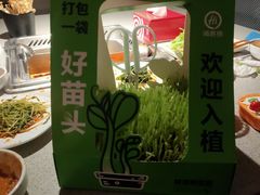 -海底捞大排档火锅(悦荟广场店)