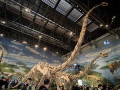 -自贡恐龙博物馆