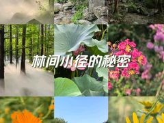 -国家植物园