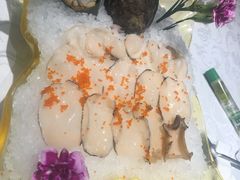鲍鱼-海鲨湾海鲜会馆(百家湖1912店)