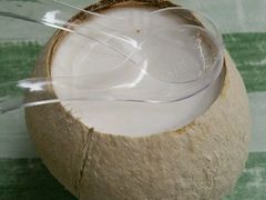 -椰爺爺·椰子冻砵仔糕