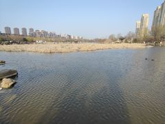 -前关湿地公园